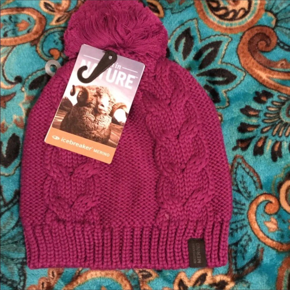 Icebreaker hat